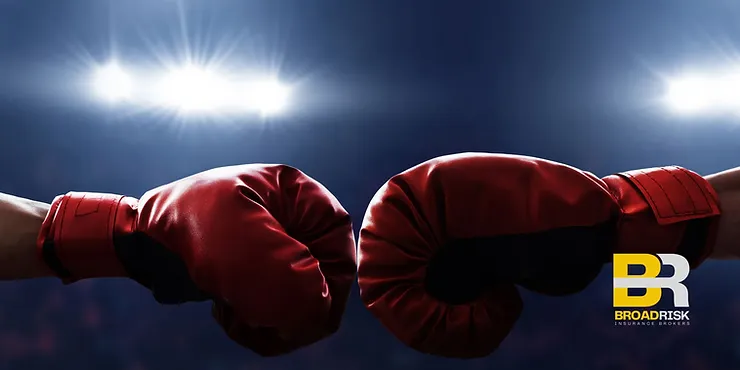 boxing gloves